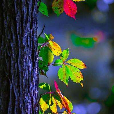 am8亚美ag旗舰厅官网app下载截图