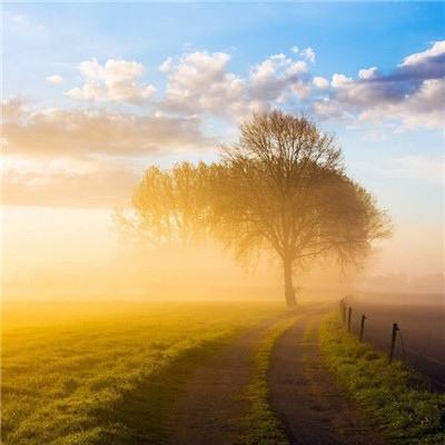 welcome新皇冠手机app下载